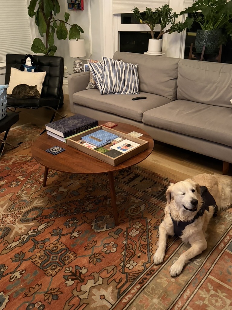 A golden retriever relaxing on the living room rug